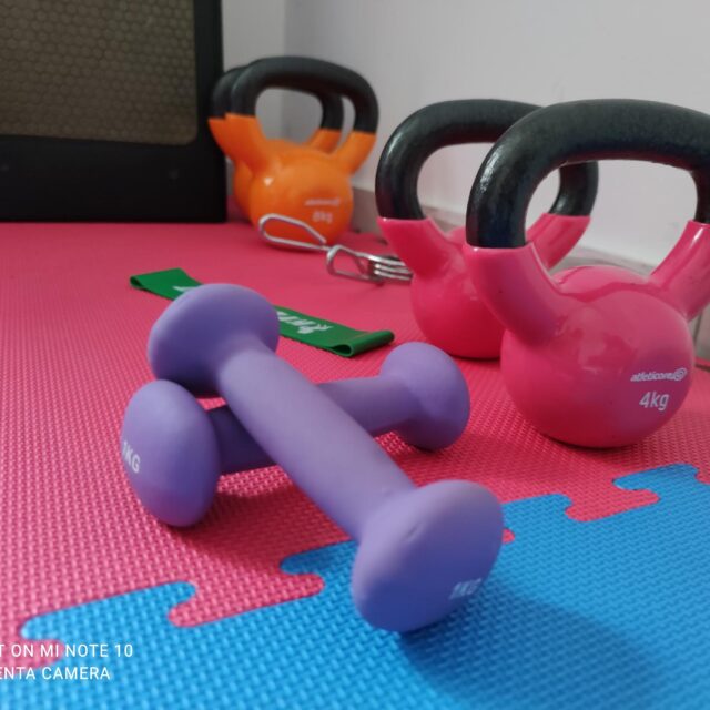 fiziofit 3 https://skolios.hr/wp-content/uploads/2022/08/fiziofit-3-640x640.jpg